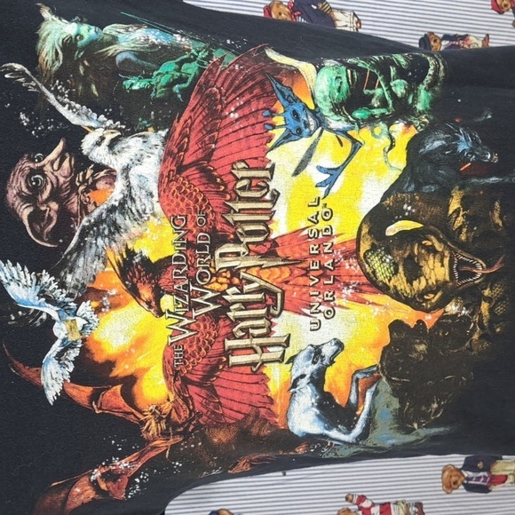 Harry Potter Universal Studios Orlando theme park graphic Med black t-shirt - Picture 3 of 5